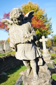 iStock_000027727593Medium - stone angel